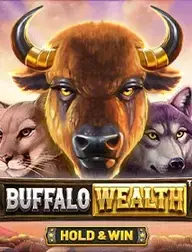 Buffalo Wealth Hold and Win